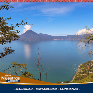 Agroforestal y ambiental
